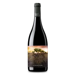 La Garnacha Olvidada de Aragón 2021